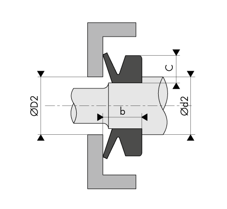 Support axial V-Ring